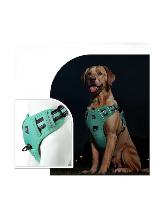 Dog Harness Chest Anti-slip Reflective Adjustable Turquoise L