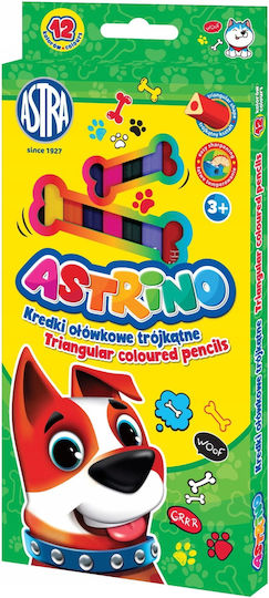 Pencil Crayons 12 Intense Colors Drawing Coloring 1 Pc
