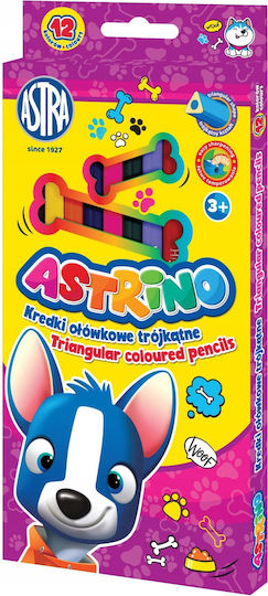 Pencil Crayons 12 Intense Colors Drawing Coloring 1 Pc
