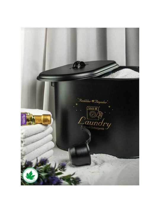 SteweHome Black Metallic Organizer