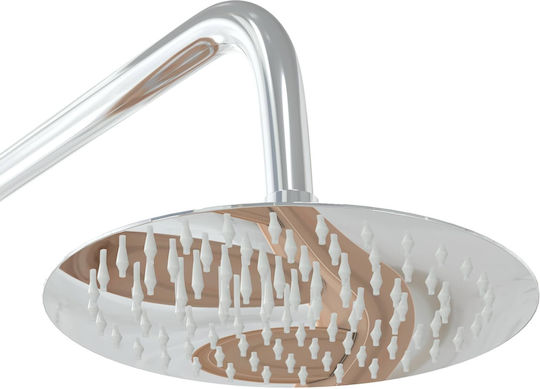 vidaXL Pool Shower 76x225 cm Brown