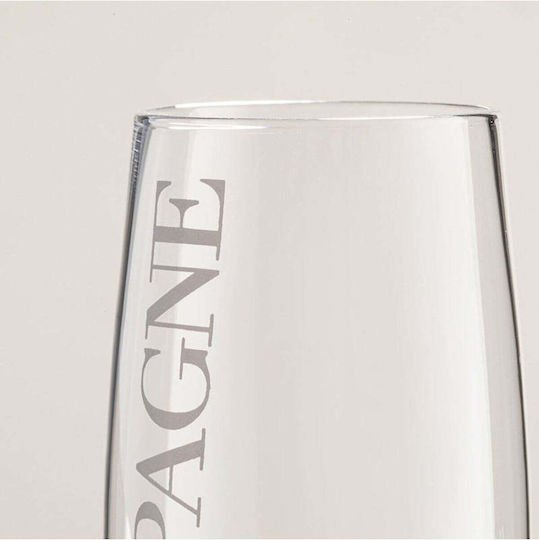 SteweHome Champagner Kelch Glas Silber