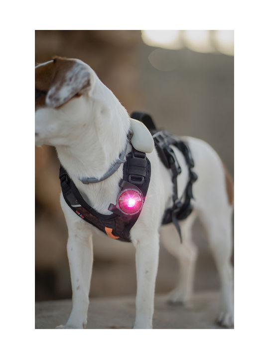 Осветено Orbiloc Dog Dual Червено