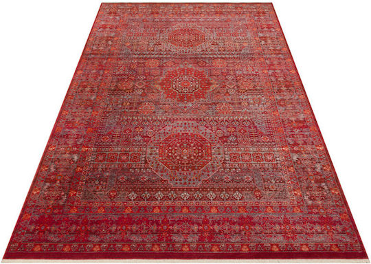SteweHome Χαλί Ορθογώνιο Κόκκινο 240x340cm