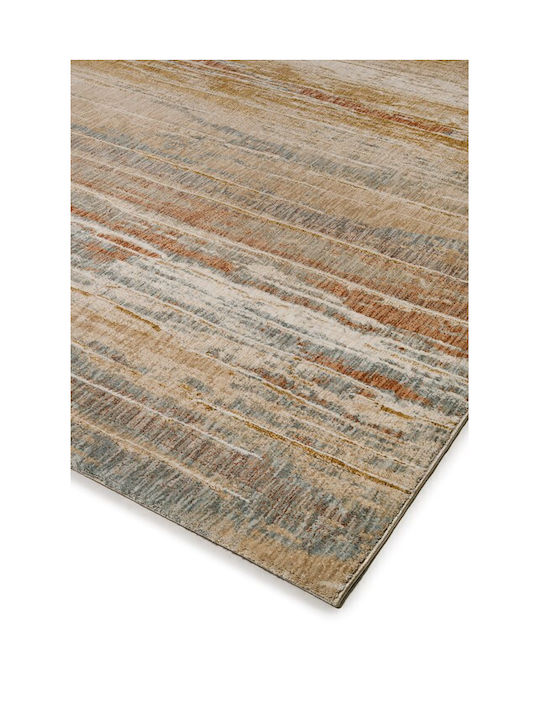 Biokarpet Wohnzimmer Teppiche Gaudi 17988 K10-200x290