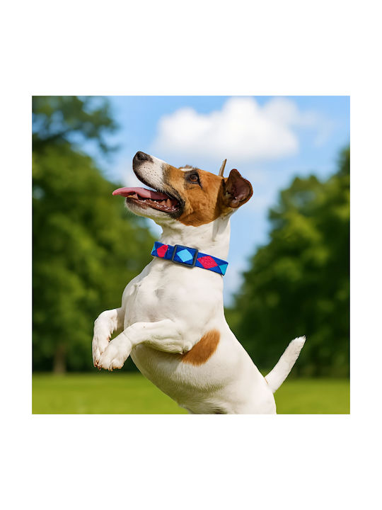 Fabric Collar Small Dog Puppy Female Dog Blue