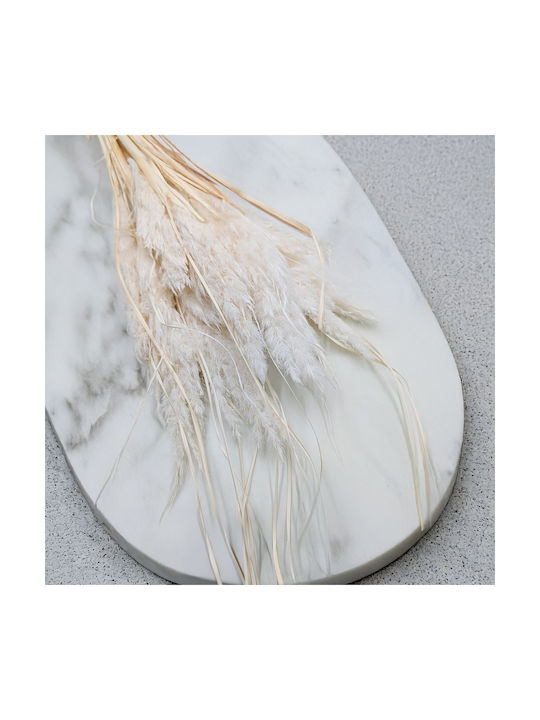 Mini Pampas Grass Bleached 10 Pcs