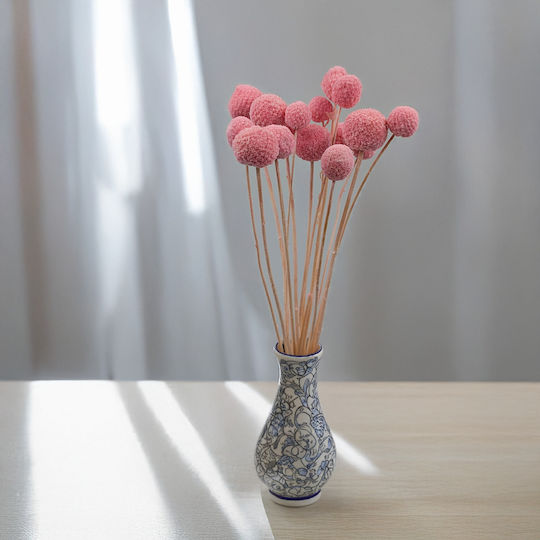 Dried Craspedia Craspedia Extra Pink Bouquet 15 Pcs
