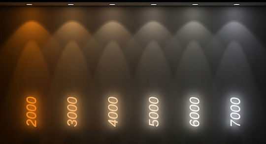 H11 H8 H9 H16 LED Крушки 4000K Неутрално Бяло Ретрофит 1:1 Съвместимост