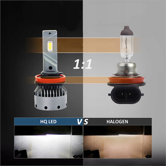 H11 LED Autolampen 12/24V 12000lm Starke Canbus 6000K Hq Automotive