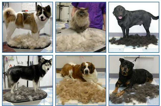 Verk Group Brush Medium / Large Dogs for Coat Care White