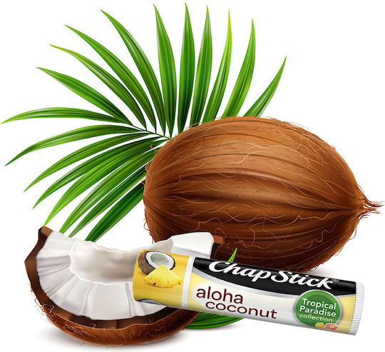 Moisturizing Lip Balm Coconut Pineapple Chapstick Aloha Coconut 1 Piece