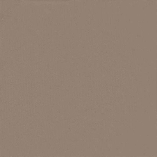 vidaXL vidaXL Veranda-Teiler Braune mit PU-Beschichtung 2x3m 160g/m²