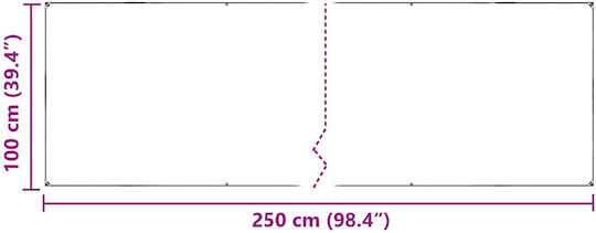 vidaXL Αδιάβροχος Μουσαμάς 2.5x1μ. Διάφανος
