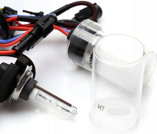 M-Tech Lamps Car & Motorcycle H7 Xenon 8000K Cold White 12V 35W 1pcs