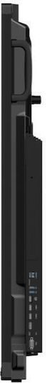 Philips Eline Διαδραστικός Πίνακας Αφής 75" Android