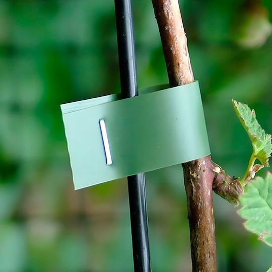 Pflanzenstützen Gartenklammern Baumschulband Tapener