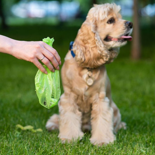 Saci Biodegradabili Pentru Îndepărtarea Excrementelor De Câine 360 Unități Bio + Cutie Petjet