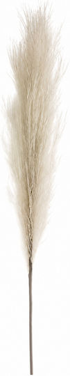 Floare Artificială Uscată Pene 70cm Floare Artificială Uscată Pene 70cm