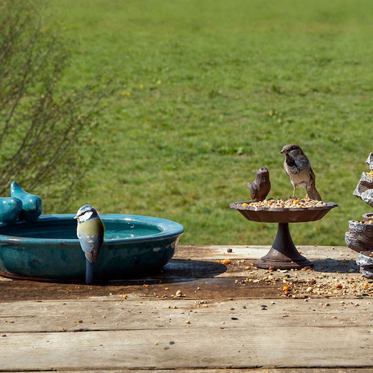 Terracotta Bird Feeder Waterer