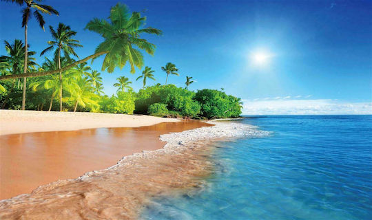 Dimcol Antiderapant Covoraș de Baie Hawaii 257 33463065001 Colorat 60x100buc
