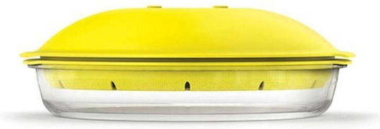 SteweHome Dampfgarer Für Mikrowellenherd Glas Weiß 27x11 Cm