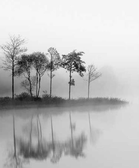 Anartisi Rolete Geam Semi-Blackout Lake In Fog P100xÎnălțime100cm E387 Gri