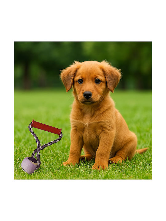 Rope Dog Toy for Puppy Chewing Purple 1 Piece