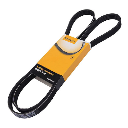 Contitech 5 Pk 1546 Mehrrib Gurt