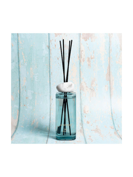 Αρωματικά Χώρου Sticks Bliss Legend Grey 500ml