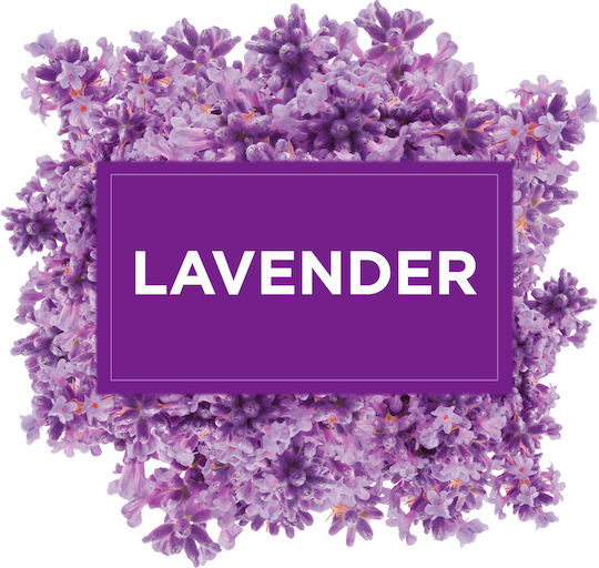 Glade Dispozitiv de Pulverizare Touch & Fresh cu Aromă Lavanda