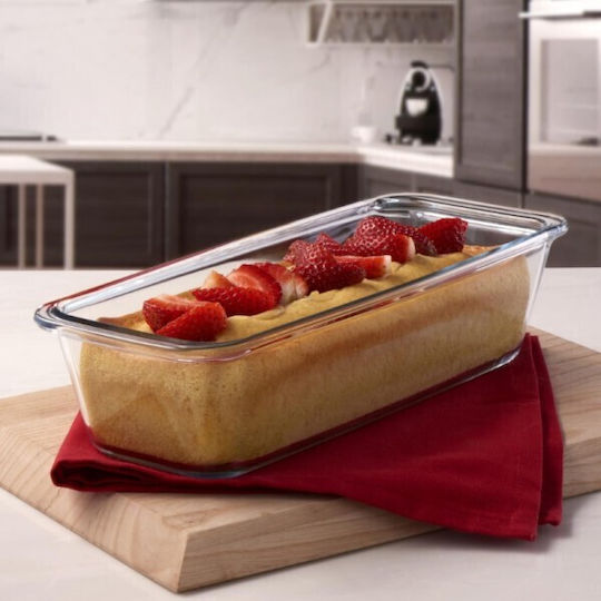 Alorno Vas Rectangular Rezistent La Căldură Din Sticlă 25x11.5x7cm