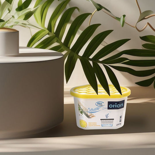 Orion Moisture Absorber Scented Lemon 230g