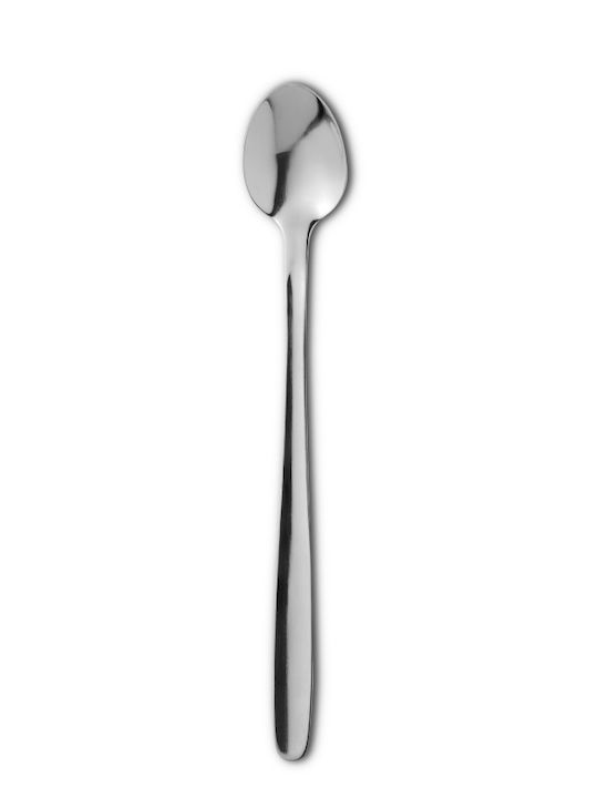 GTSA Set Löffel Dessert / Eiscreme Rostfreier Stahl Grau 20,3cm 12 Stück