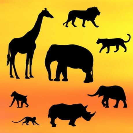 Safari Animal Fondant Cutters 8pcs