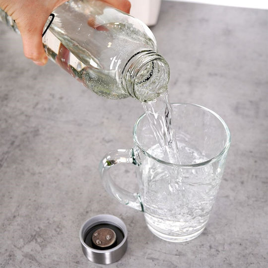 Excellent Houseware Flasche Wasser Glas mit Schraubverschluss Gray 750ml Excellent Houseware Flasche Wasser Glas mit Schraubverschluss Gray 750ml