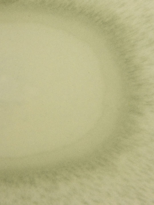 Atmosphera Πλαστικός Δίσκος Σερβιρίσματος 46x34x5cm
