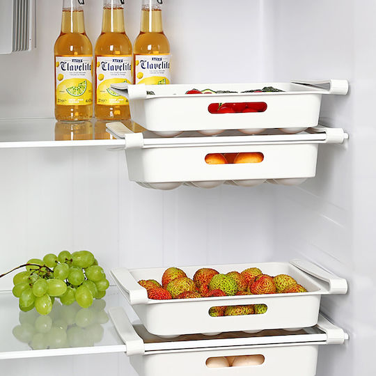 Zokura Fridge Egg Holder for 12 Eggs 26x18x5cm