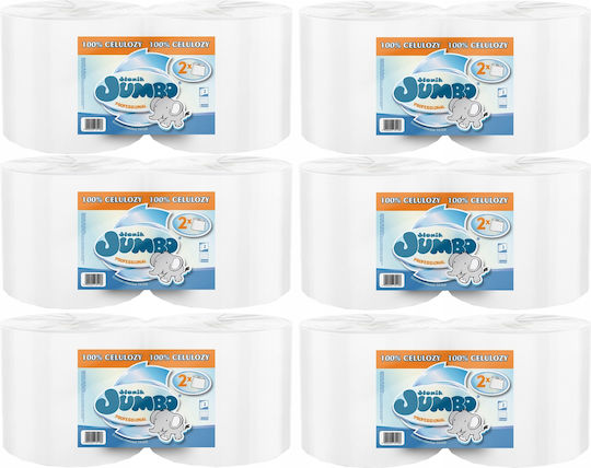 Jumbo Küchenpapier 2 Rollen 2 Lagen 6 Packungen