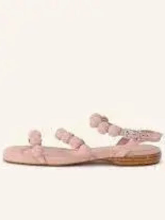 Regy02 Women's Flat Sandals Pink