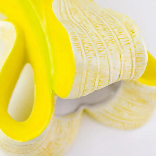 Donkey Decorative Glass Vase Banana Romance Yellow