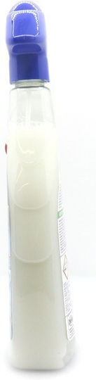 Overlay Multi Καθαριστικό Spray για Λίπη 650ml