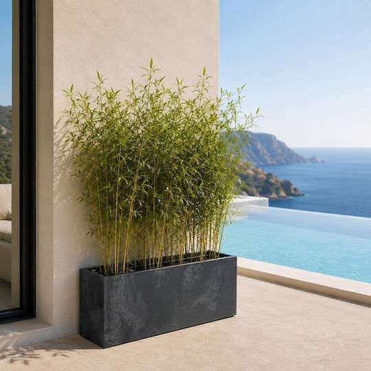 Next Plastic Anthracite Planter Box Next Plastic Anthracite Planter Box