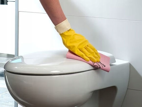 Vileda PVAmicro Lavete de Curățare cu Microfibre Utilizare generală Albastru 35x38buc 1buc 012685