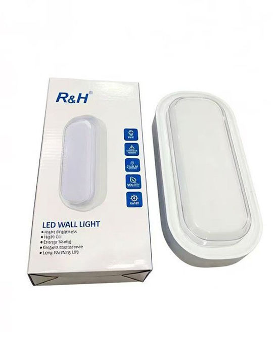 Wall-Mounted Outdoor LED Light 6000K Wall-Mounted Outdoor LED Light 6000K