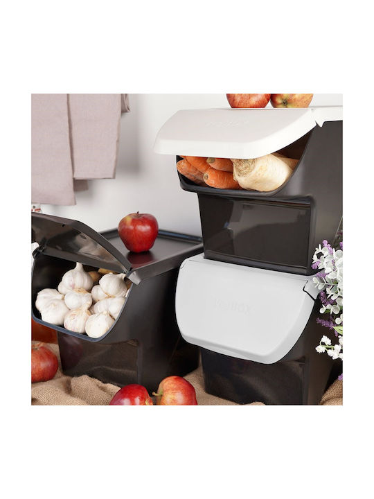 Vilde General Use Vase with Plastic Lid Black 27.5x26x34cm 1 Pieces