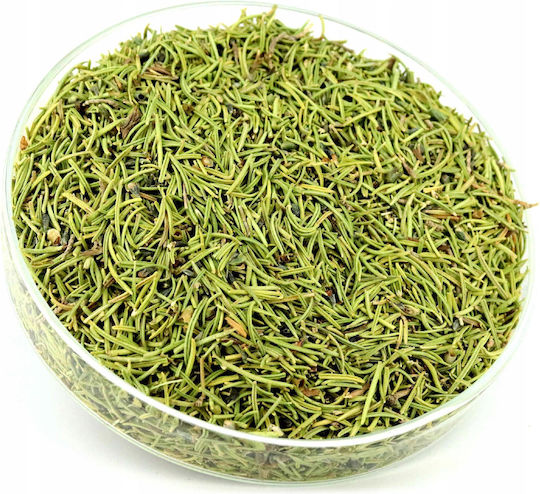 RolPol Rozmarin 100gr