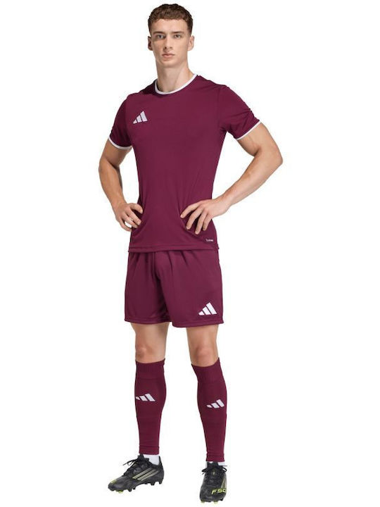 Herren Shorts Burgundy
