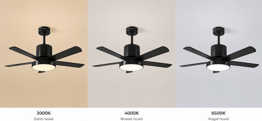 Gruppe 48-12115DC Ventilator De Tavan 122cm Cu Lentile De Mărire Negru