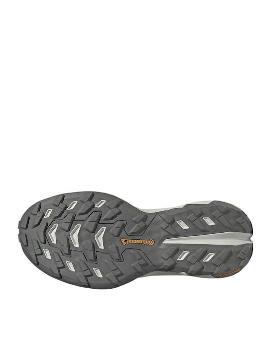 adidas Terrex Ανδρικά Ορειβατικά Μπεζ